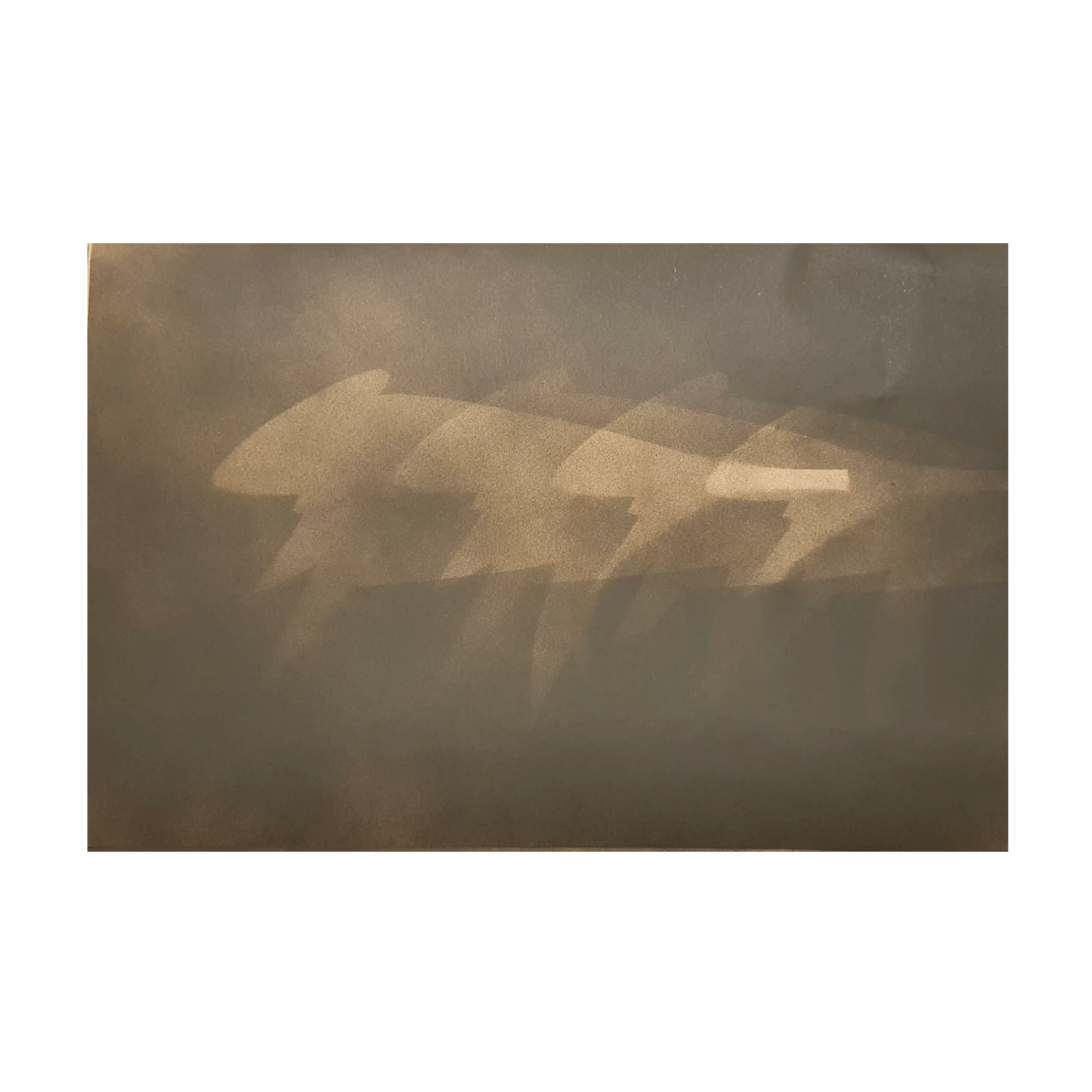 Let sleeping dogs lie 5